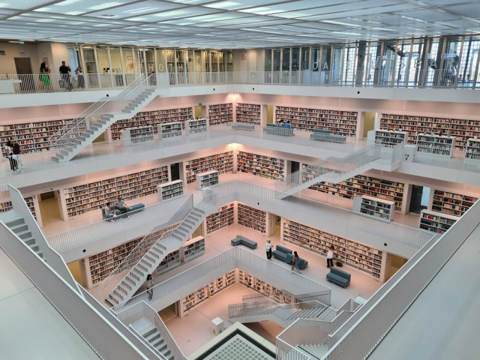 İngilizcede "Which" Kullanımı