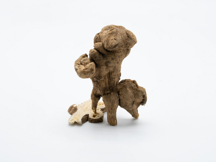 İngilizcede Katı Bir Şeyi Dökme İfadeleri